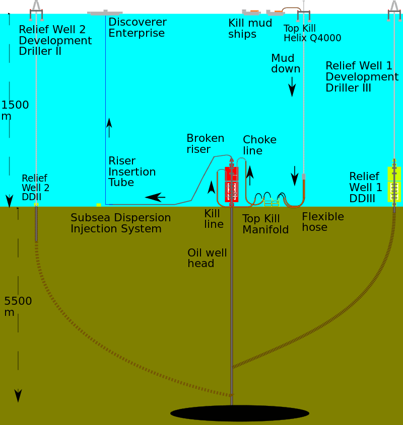 Deepwater Horizon kill and relief well