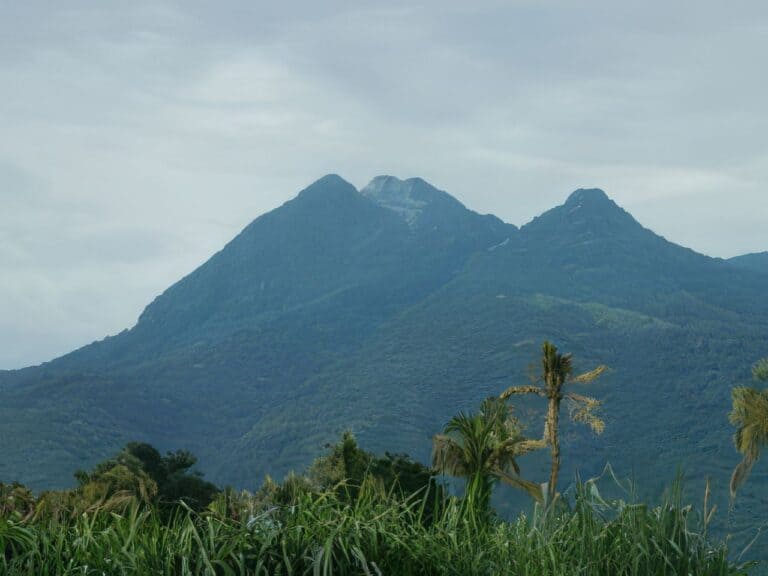 Mount Makiling, a dormant stratovolcano, located in the provinces of Laguna and Batangas on the island of Luzon in the Philippines