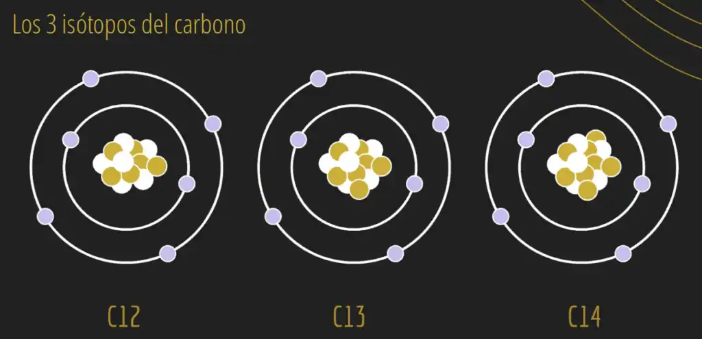 The three common carbon isotopes: C-12, C-13 and C-14.