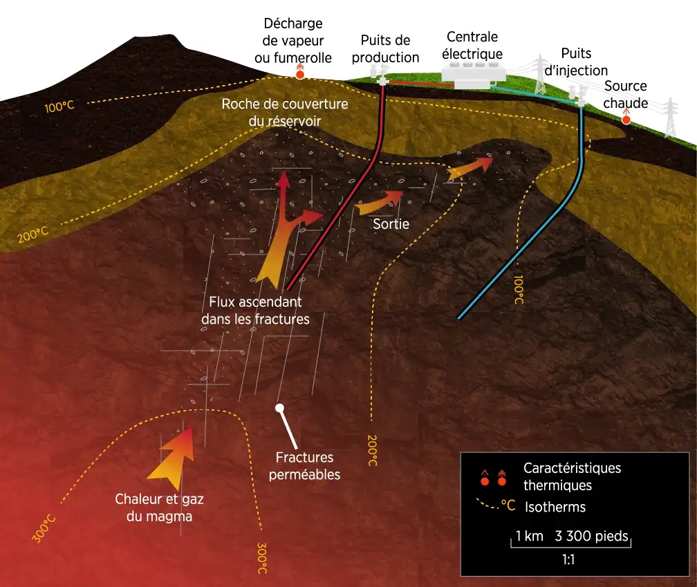 Coupe transversale idéalisée d’une ressource hydrothermale montrant divers éléments conceptuels d’un réservoir hydrothermal à haute température